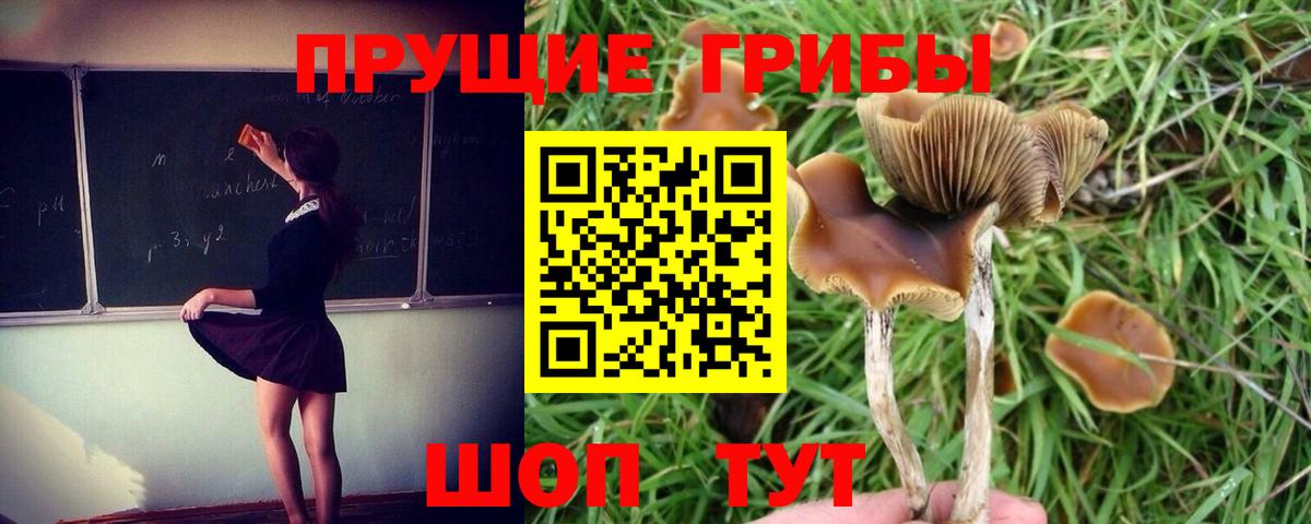 Галлюциногенные грибы MAGIC MUSHROOMS Балашиха